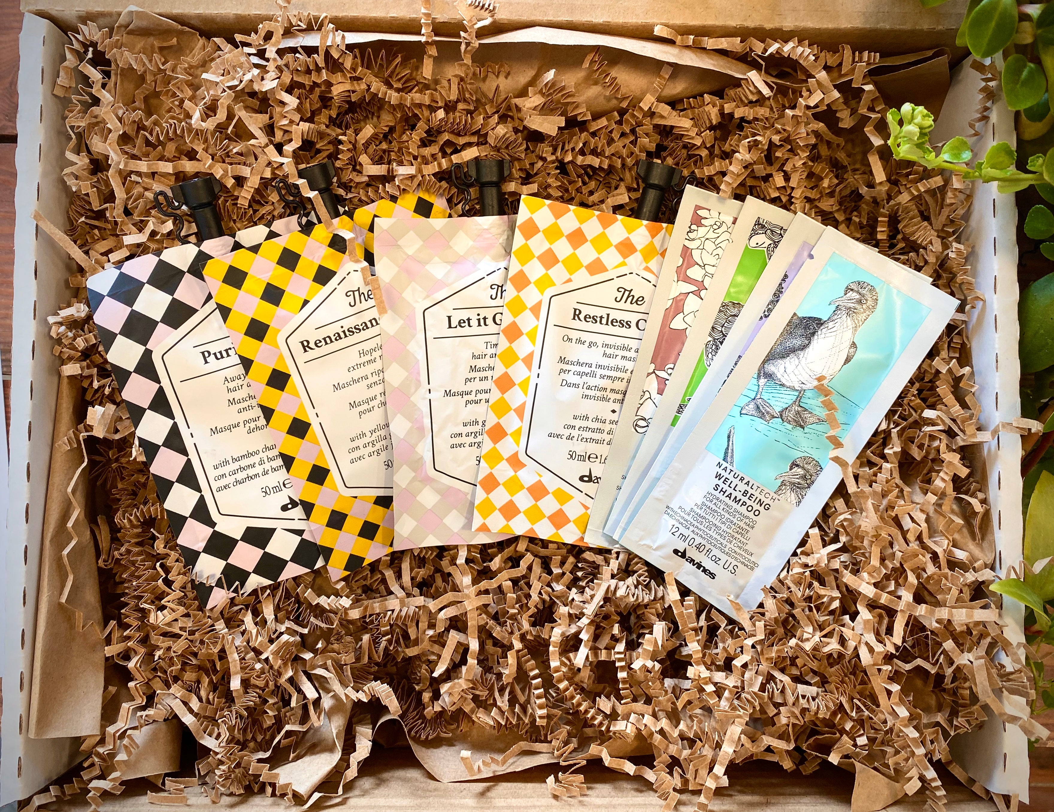 Davines Circle Chronicles: Ultimate Treatment Bundle Box